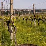 Castello Di Ribano Le Dimore * サヴィニャーノ・スル・ルビコーネ