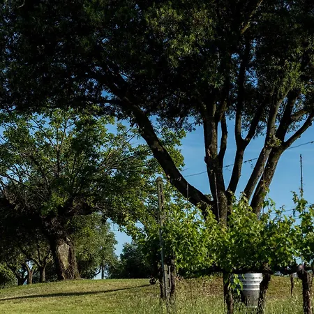 Castello Di Ribano Le Dimore 아파트