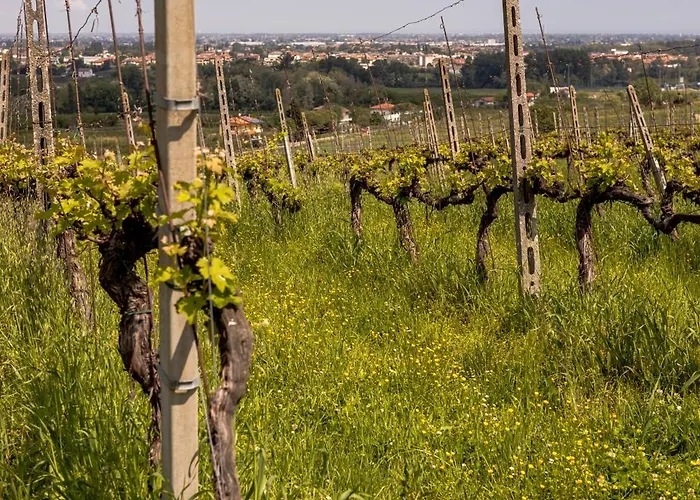 Castello Di Ribano Le Dimore * Savignano sul Rubicone