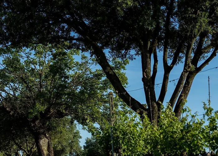 Castello Di Ribano Le Dimore Appartement